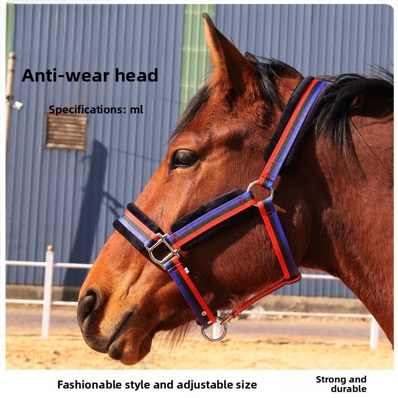 Headcollar Rope Set - Wear‑Resistant Textile Horse Halter Set, Anti‑Abrasion