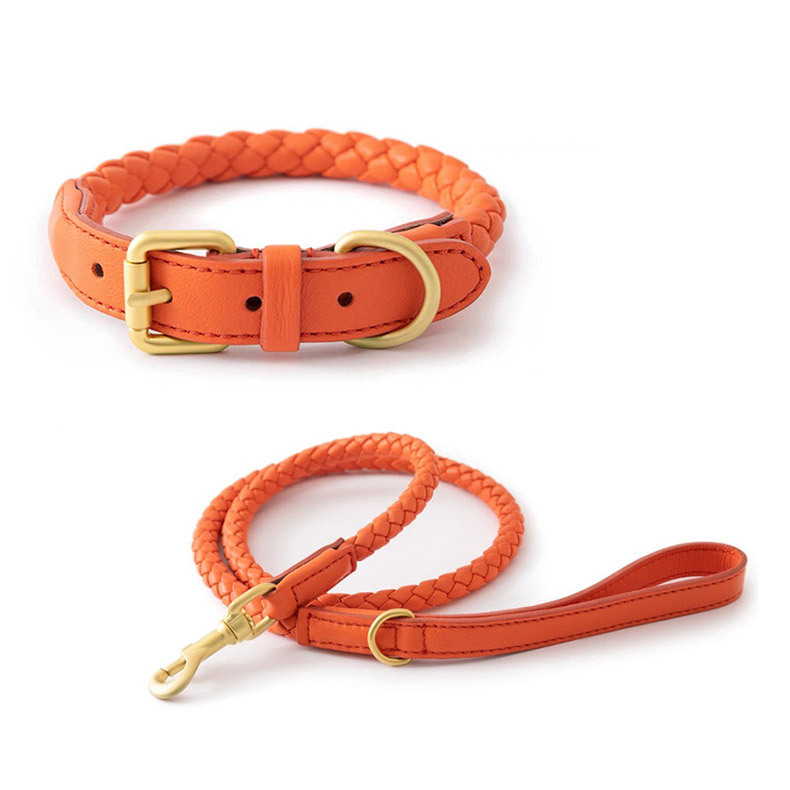 Adjustable Braided Leather Pet - Headcollar Rope Set ulasan dan harga