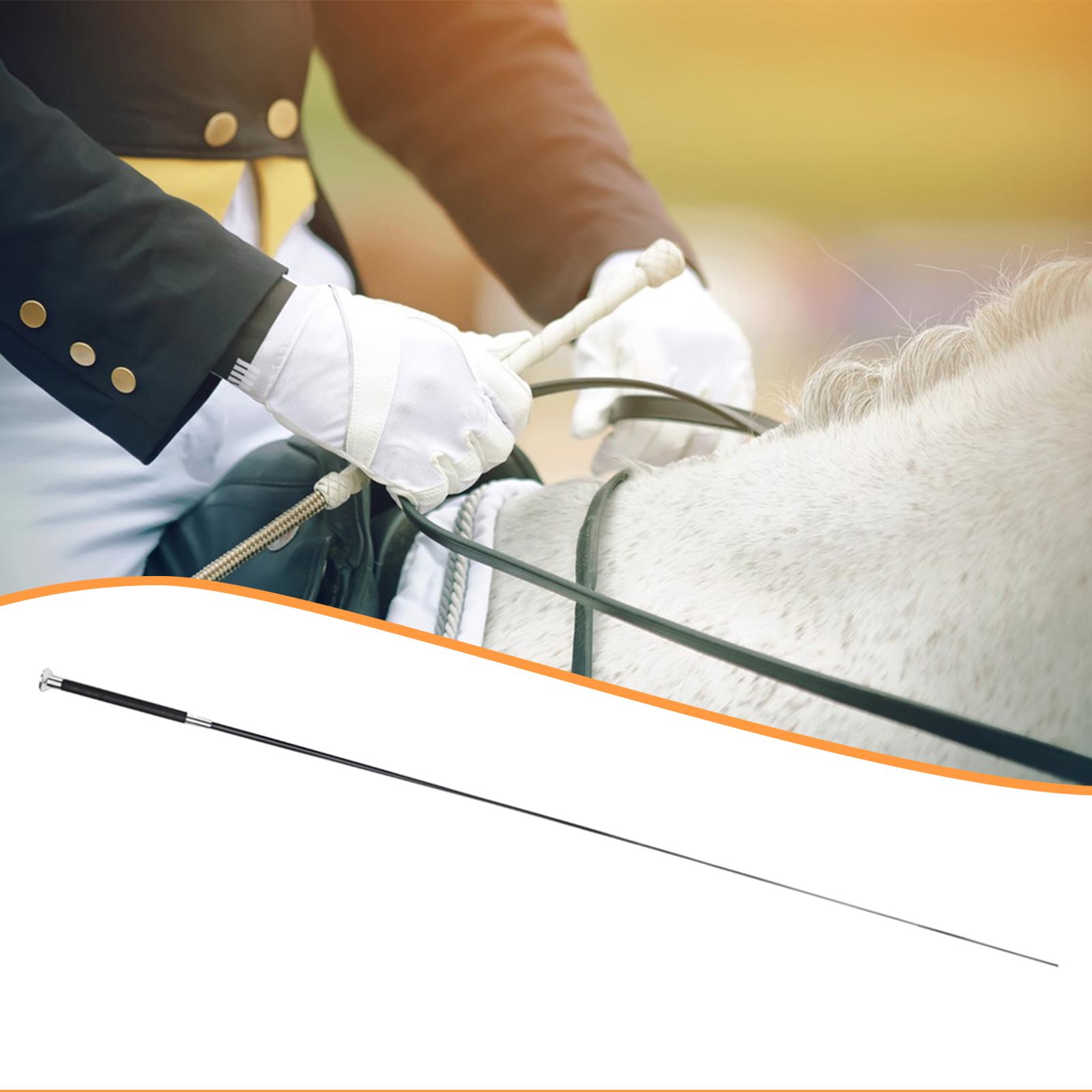 Adjustable Riding Crop Telesco - Riding Crop Dressage ulasan dan harga
